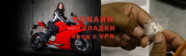 сатива Волоколамск