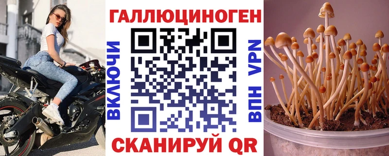 Псилоцибиновые грибы MAGIC MUSHROOMS Камышлов