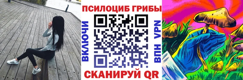 как найти закладки  Камышлов  Галлюциногенные грибы мицелий 